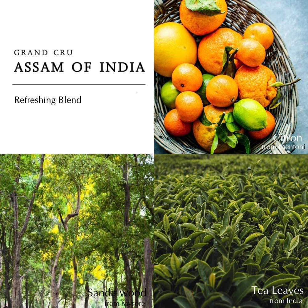 Foto 5 pulgar | Perfume Berdoues Collection Grands Crus Assam Of India 100 ml - Venta Internacional
