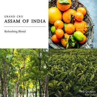 Foto 4 | Perfume Berdoues Collection Grands Crus Assam Of India 100 ml - Venta Internacional