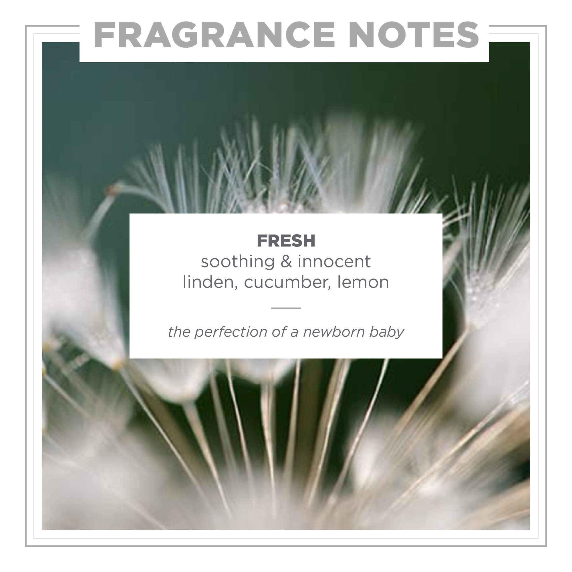Foto 4 pulgar | Perfume Zents Attar Roll-On Fragancia Fresca Vegana 1 Litro - Venta Internacional