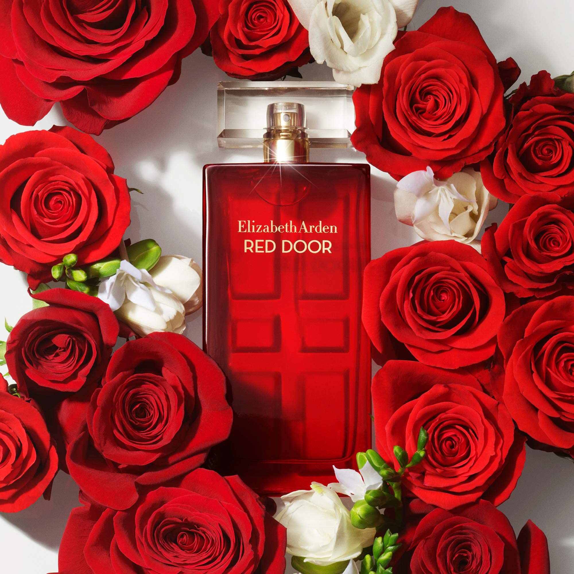 Foto 5 | Perfume Elizabeth Arden Red Door Eau de Toilette 100 ml para Mujer - Venta Internacional