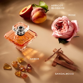 Foto 2 | Perfume Lancôme Trésor Eau De Parfum 25 ml para Mujer - Venta Internacional