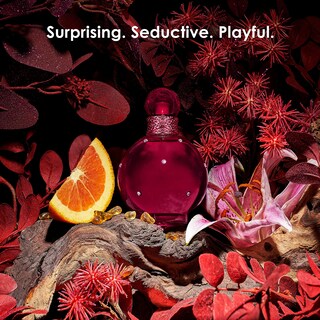 Foto 5 | Perfume Britney Spears Hidden Fantasy Edp 100 ml para Mujer-Venta Internacional
