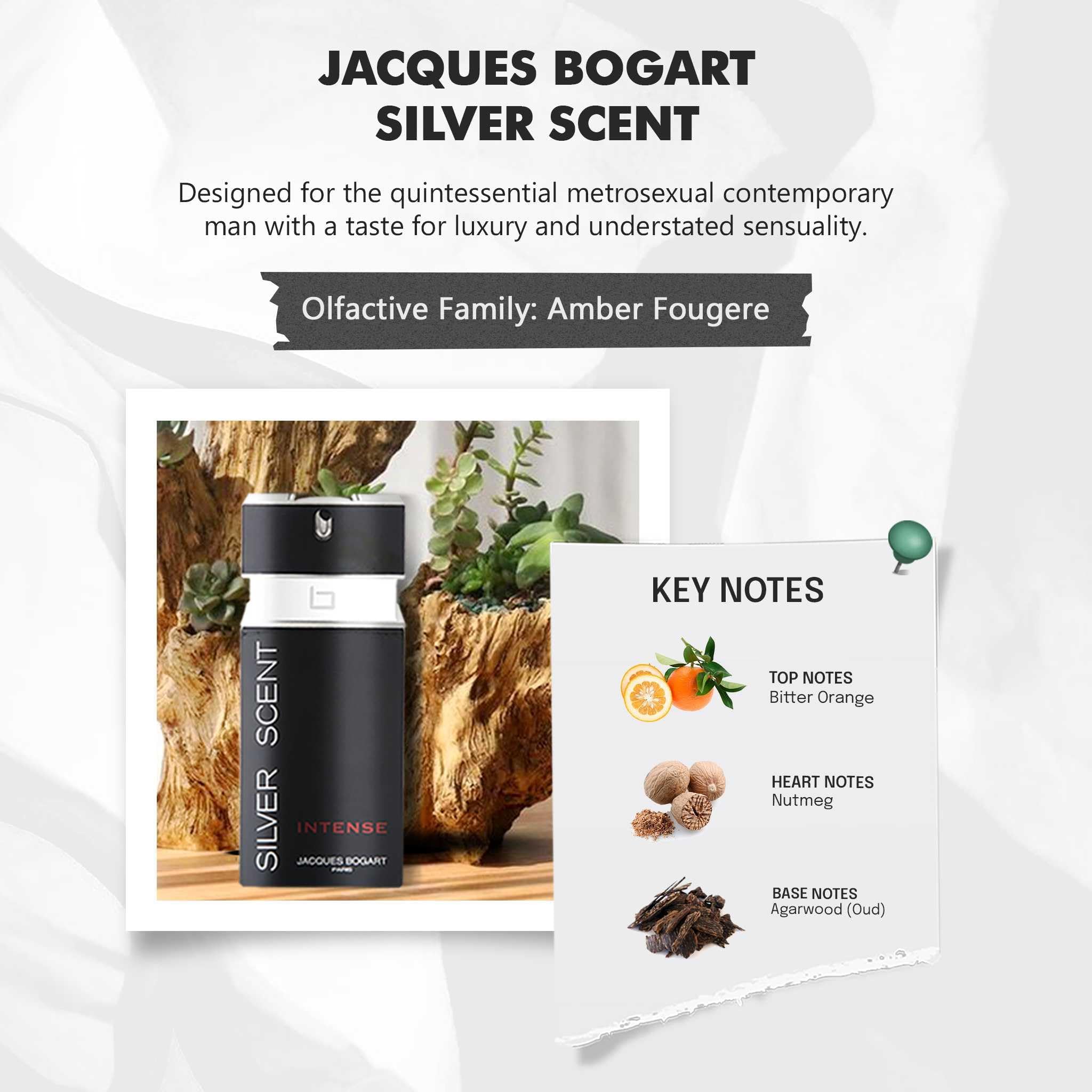 Foto 8 pulgar | Perfume Jacques Bogart Silver Scent Intense Edt 100 Ml para Hombre - Venta Internacional