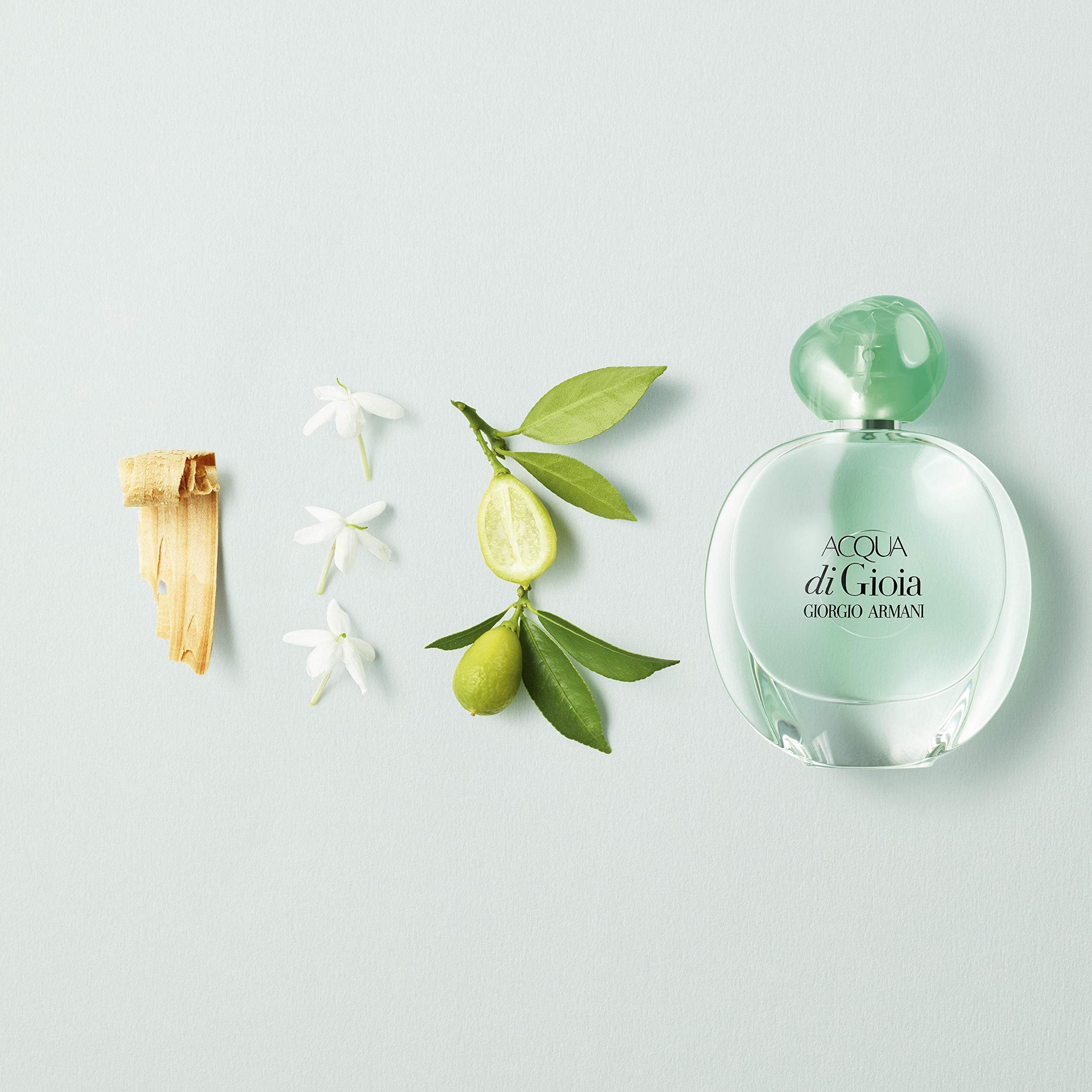 Foto 4 pulgar | Perfume Giorgio Armani Acqua Di Gioia Eau De Parfum 100 ml para Mujer - Venta Internacional