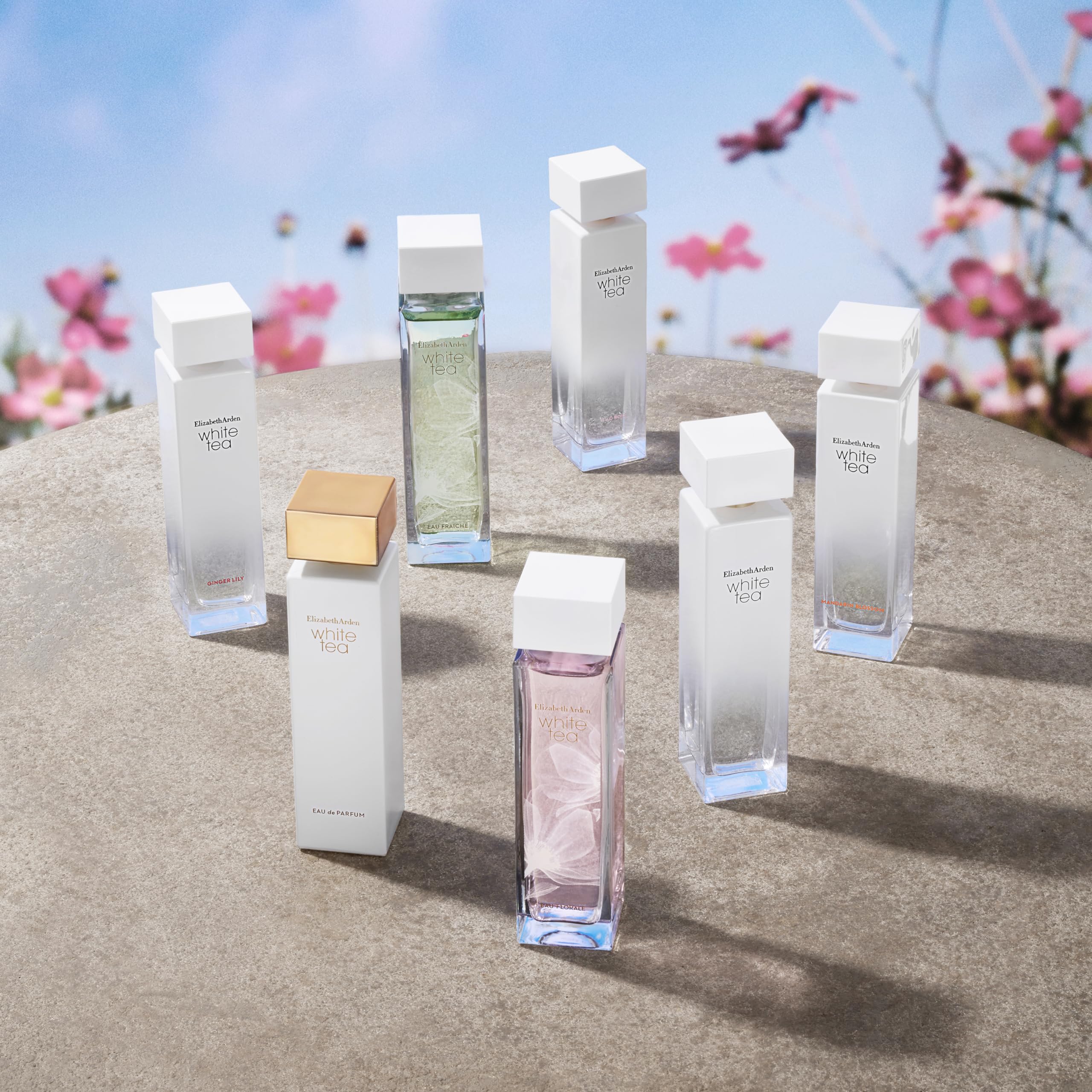 Foto 6 pulgar | Perfume Elizabeth Arden White Tea Eau Florale Edt 100 Ml - Venta Internacional