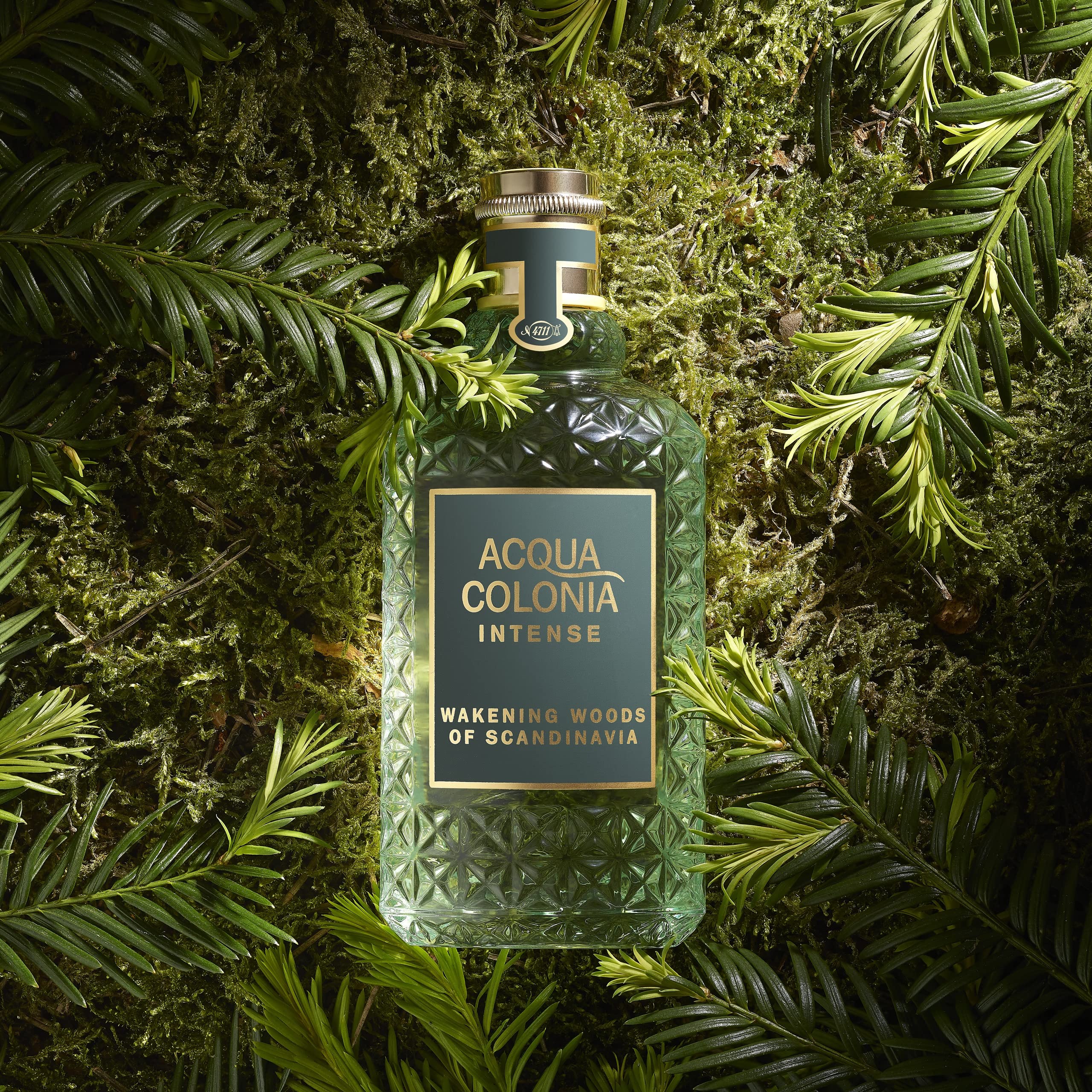 Foto 2 | Perfume 4711 Acqua Colonia Wakening Woods 170 Ml - Venta Internacional