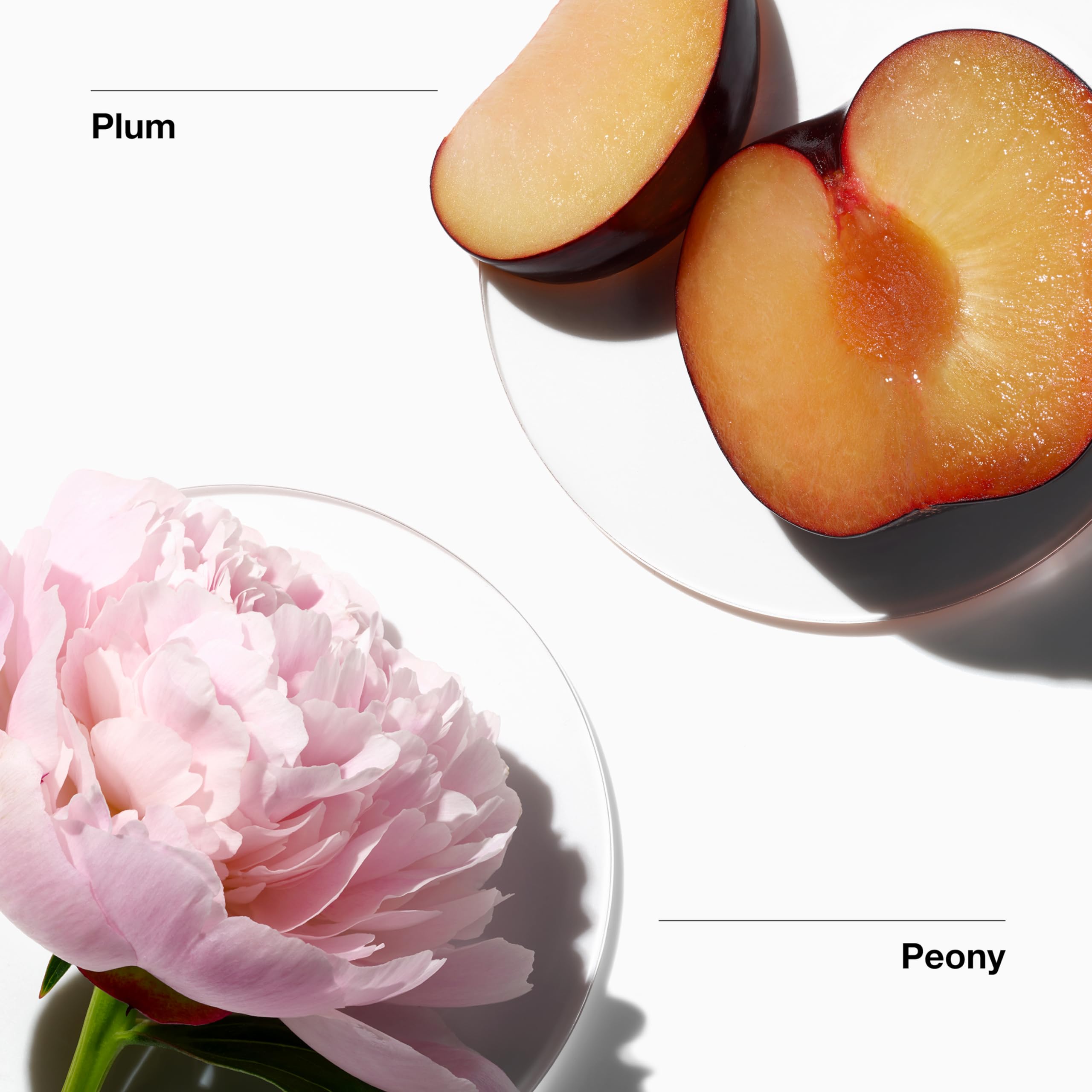 Foto 3 pulgar | Perfume Clinique My Happy Peony Picnic 15 Ml para Mujer - Venta Internacional