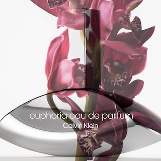 Foto 4 | Perfume Euphoria de Calvin Klein Eau De Parfum para Mujer 50 Ml - Venta Internacional