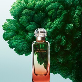 Foto 2 | Perfume Hermes Un Jardin Sur La Lagune Edt 100 ml para Mujer-Venta Internacional