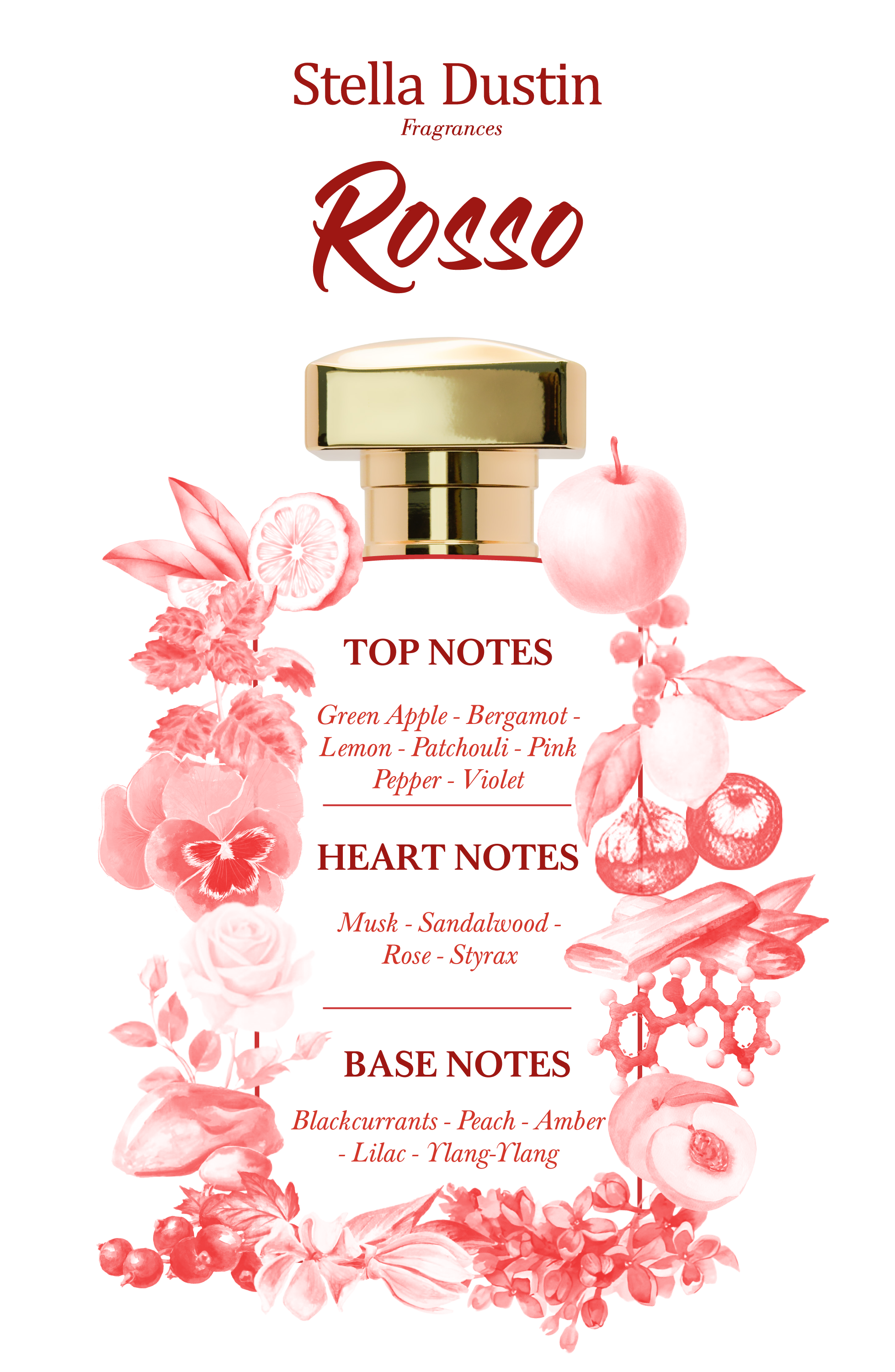 Foto 3 | Perfume Stella Dustin Terra Rosso Edp 100ml Unisex