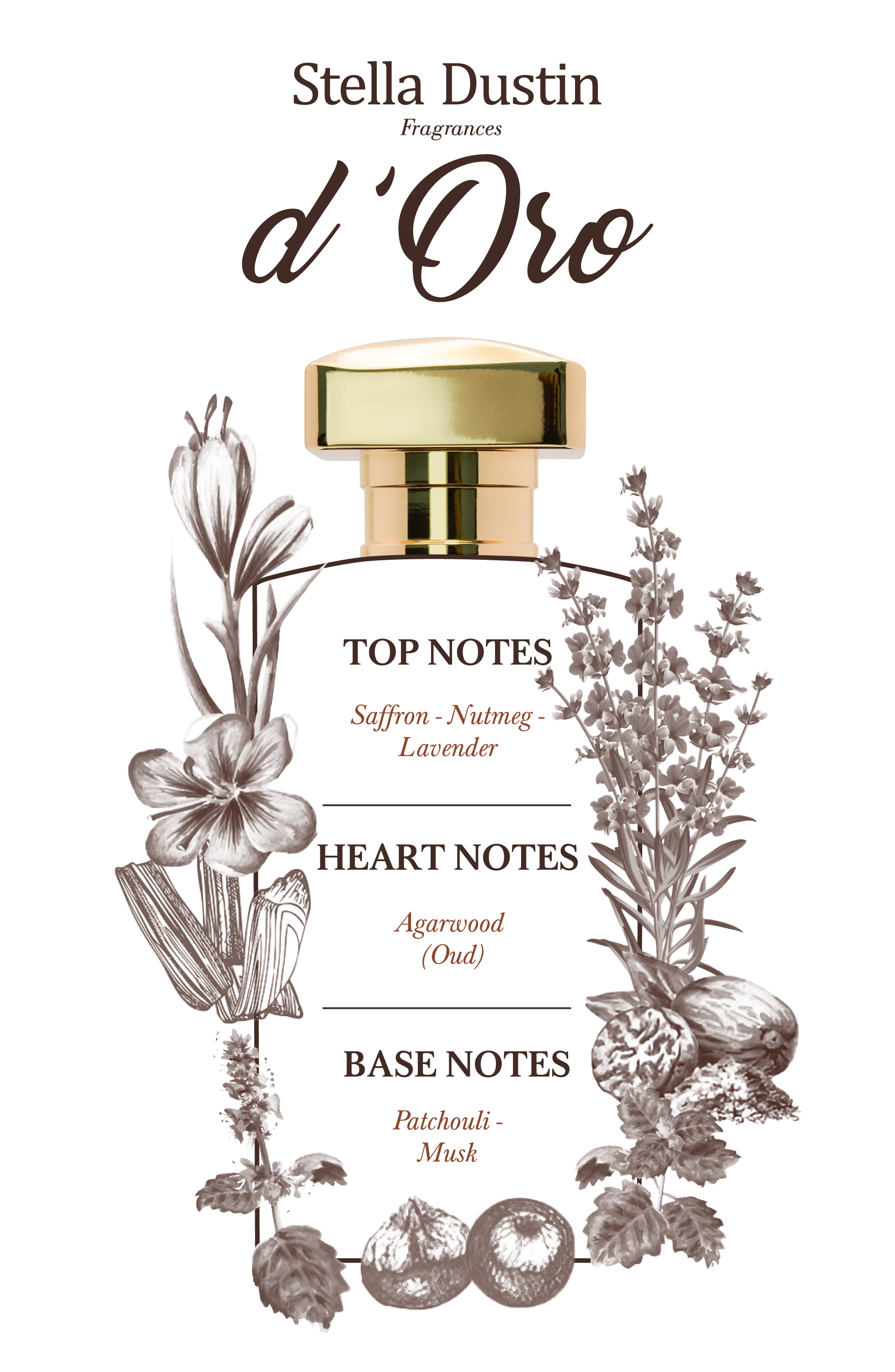 Foto 4 pulgar | Perfume Stella Dustin Terra D'oro Edp 100 ml Unisex