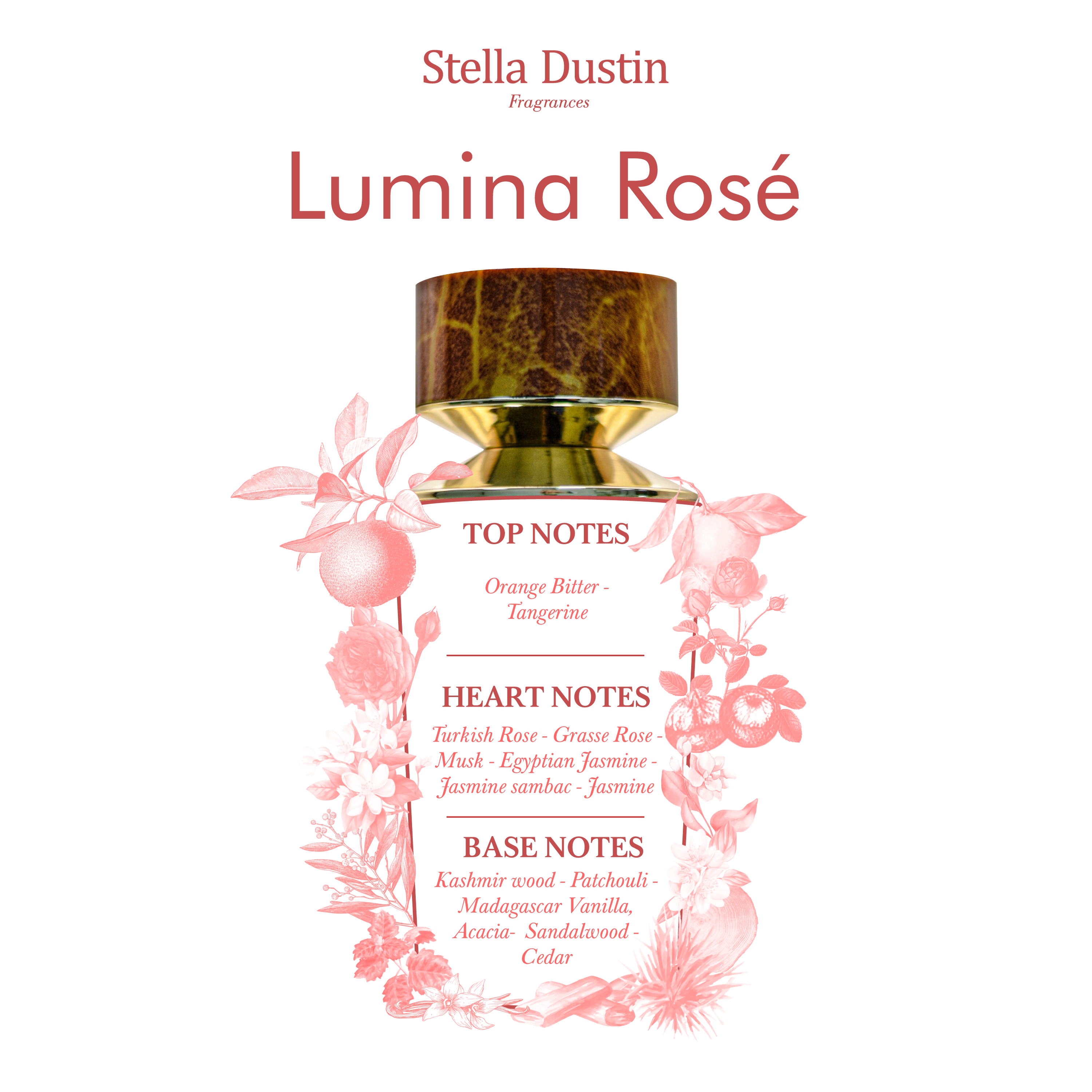 Foto 3 | Perfume Stella Dustin Lumina Rose Edp 100 ml para Mujer