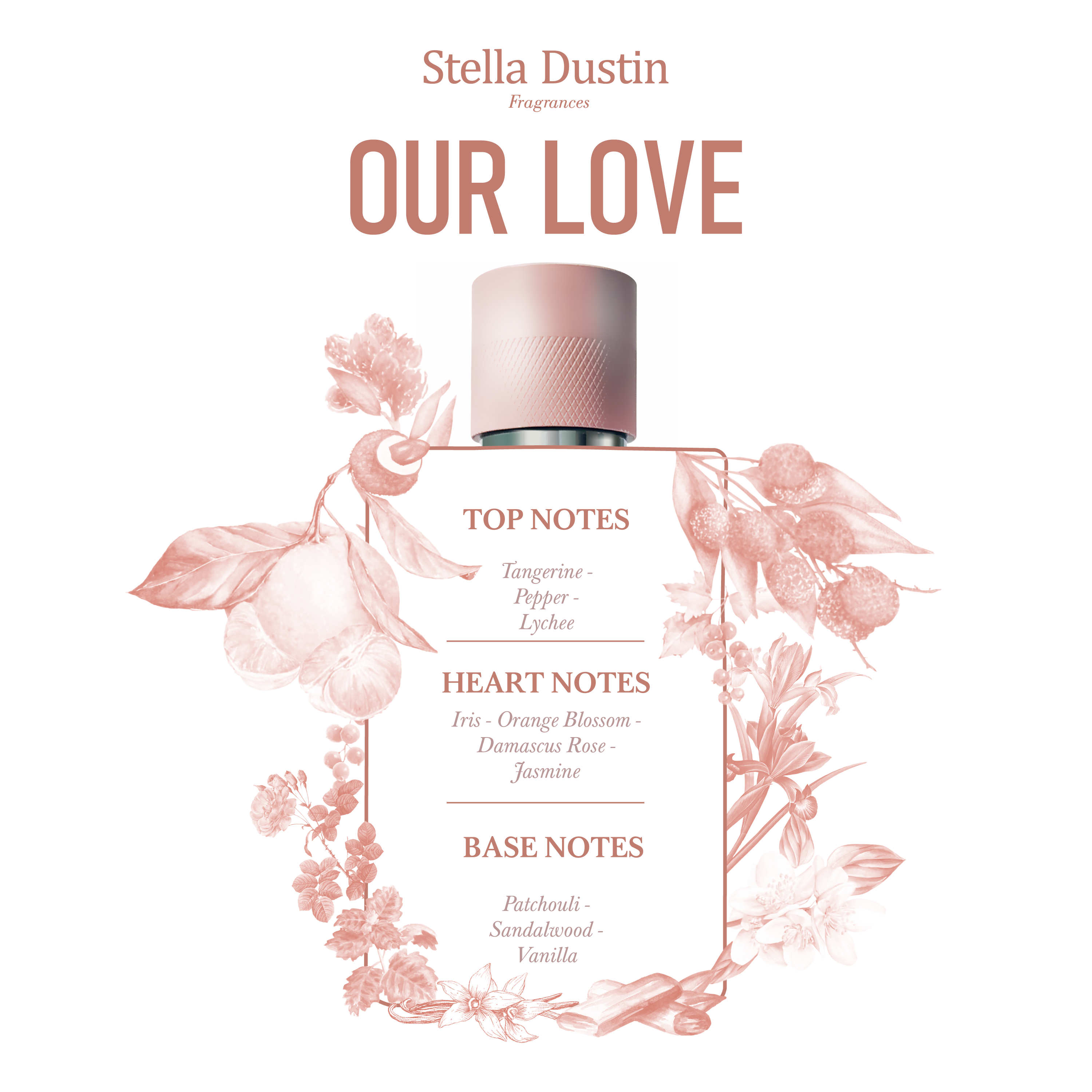 Foto 3 | Perfume Stella Dustin Our Love Edp 100 ml para Dama