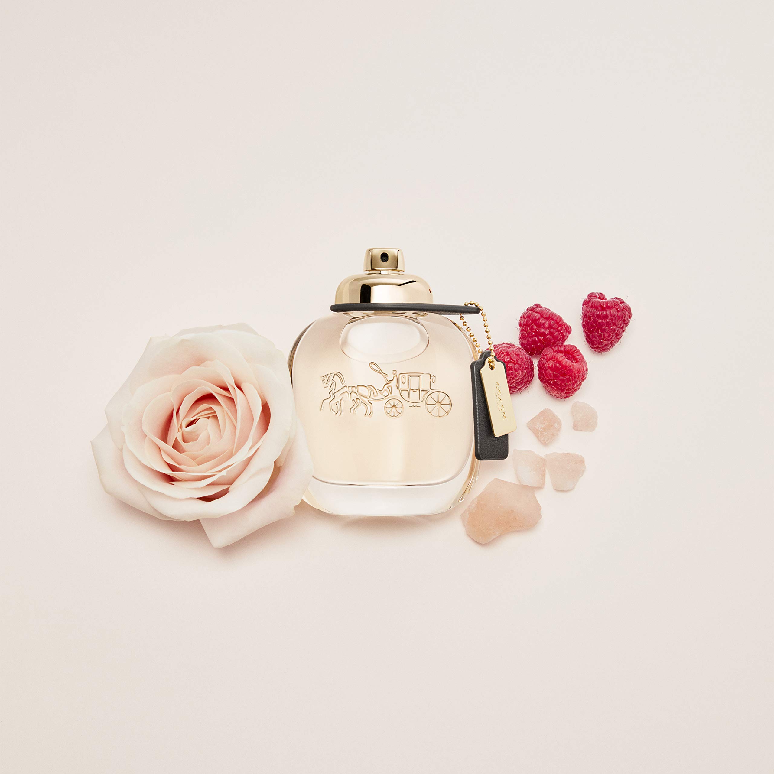 Foto 3 | Perfume Coach Eau De Parfum En Aerosol De 30 Ml Para Mujer - Venta Internacional.