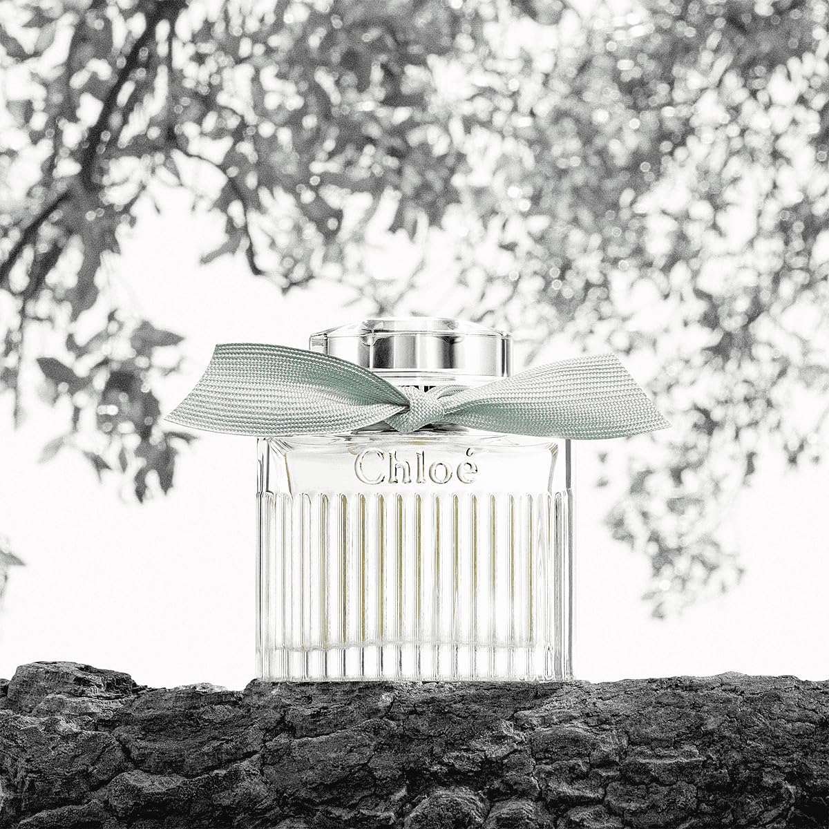 Foto 4 pulgar | Perfume Chloe Naturelle Eau de Parfum 30 Ml - Venta Internacional