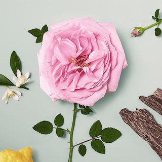 Foto 4 | Perfume Chloe Naturelle Eau de Parfum 30 Ml - Venta Internacional