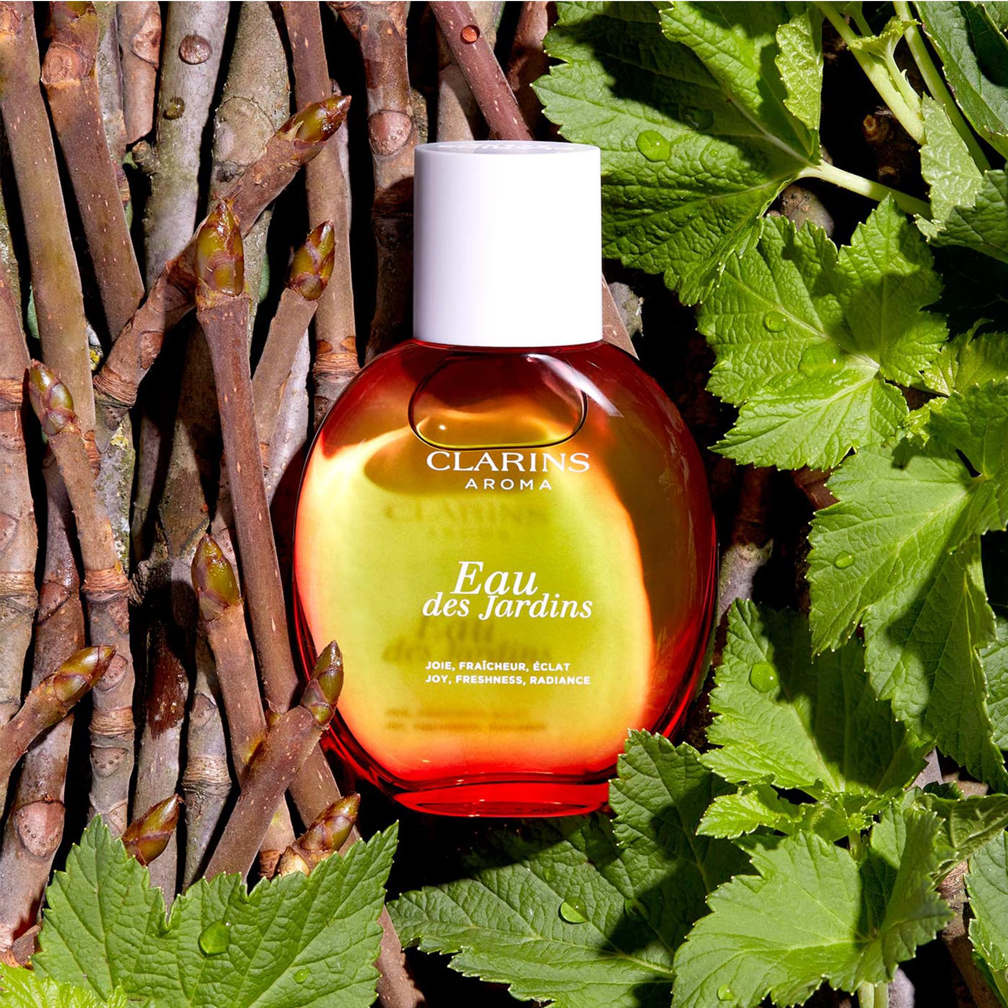 Foto 3 pulgar | Perfume Clarins Eau Des Jardins 100 Ml Para Todo Tipo De Piel - Venta Internacional.