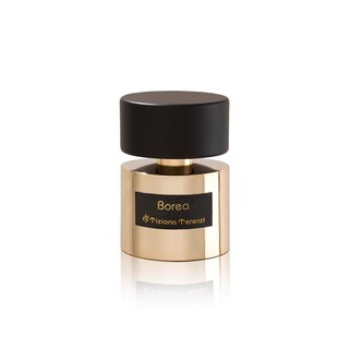 Foto 2 | Perfume Tiziana Terenzi Borea Edp 100 Ml Para Hombre Y Mujer - Venta Internacional