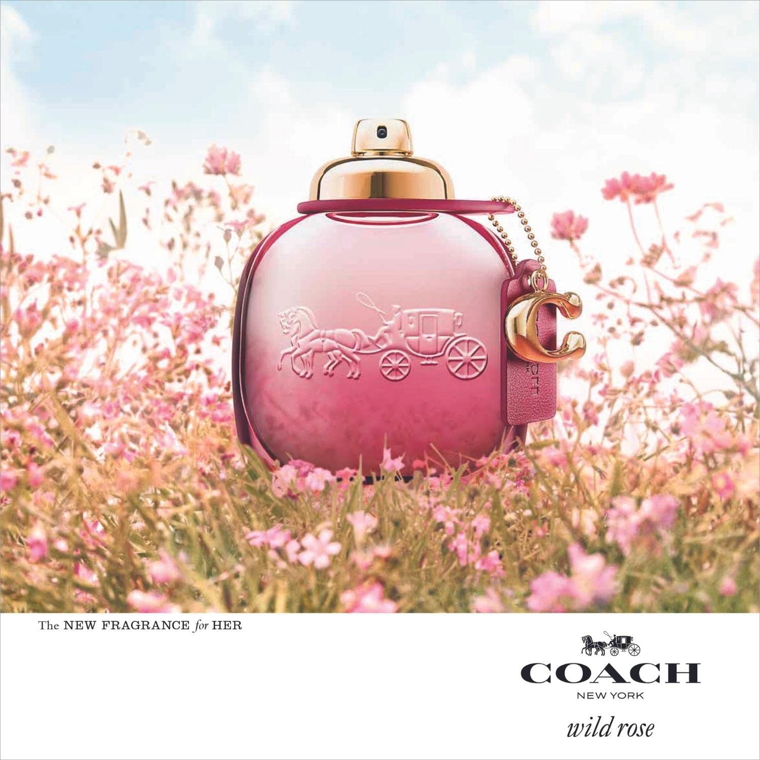Foto 5 pulgar | Perfume Coach Wild Rose Eau De Parfum Para Mujer, 90 Ml - Venta Internacional.