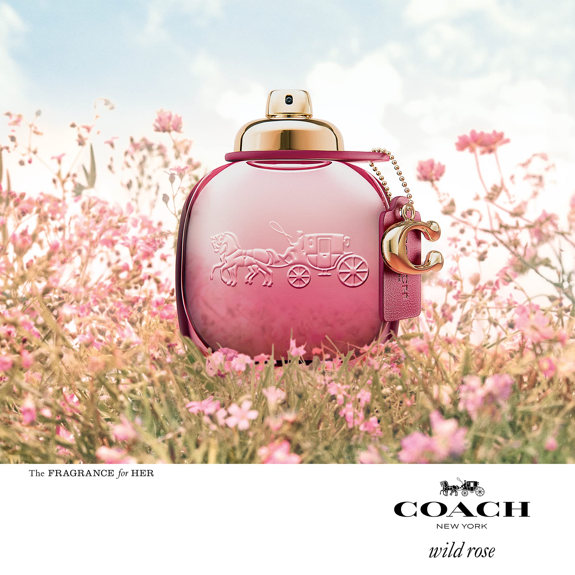 Foto 8 pulgar | Perfume Coach Wild Rose Eau De Parfum Para Mujer, 90 Ml - Venta Internacional.