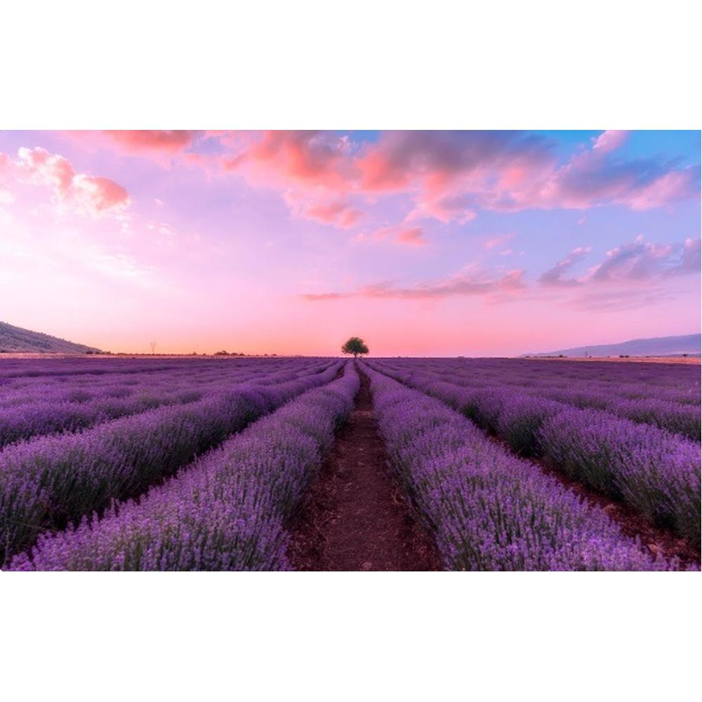 Foto 3 pulgar | Floris London. Perfume Lavanda 100 Ml. Calidad Premium.