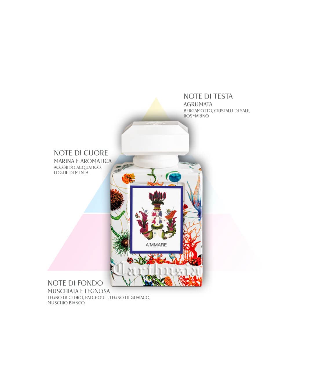 Foto 4 pulgar | Perfume Carthusia A'mmare Eau De Parfum Para Mujer, 100 Ml - Venta Internacional.