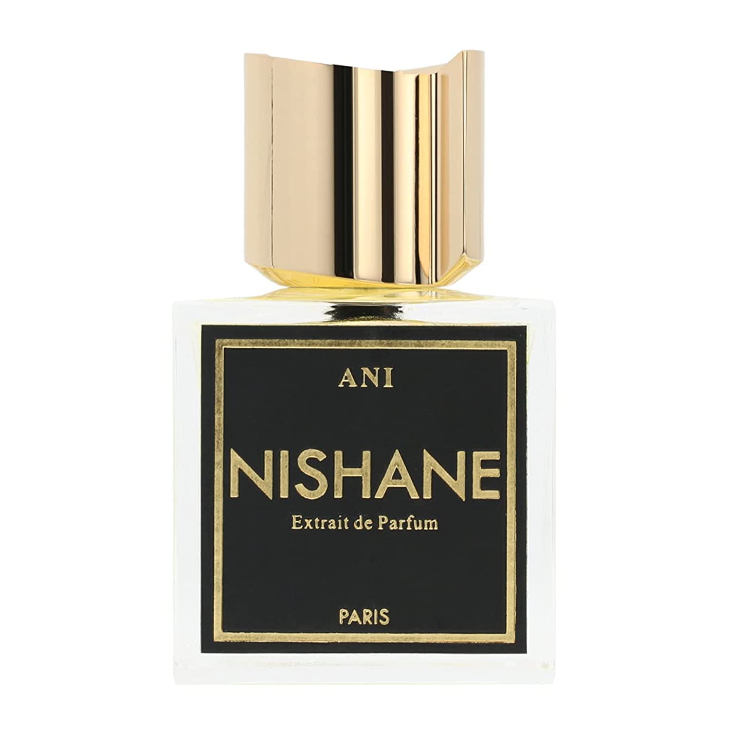 Foto 1 | Perfume Nishane Ani Extrait de Parfum 100 ml Unisex - Venta Internacional