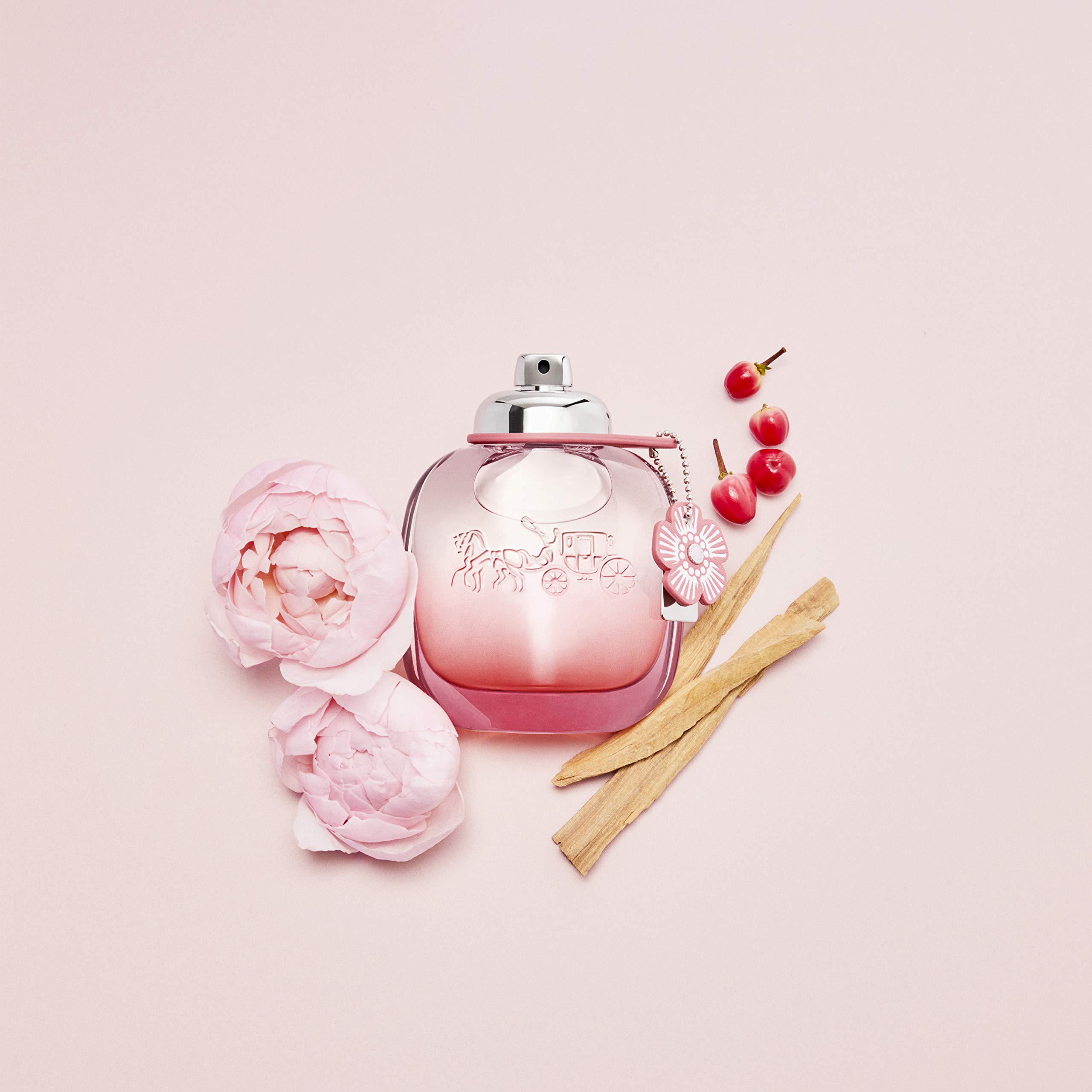 Foto 4 pulgar | Perfume Perfume Coach Floral Blush, 25 Ml - Venta Internacional.