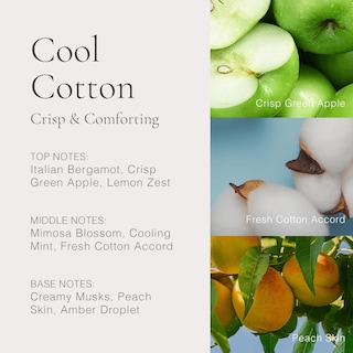 Foto 3 | Perfume Clean Classic Cool Cool De 30 Ml Para Mujer - Venta Internacional.