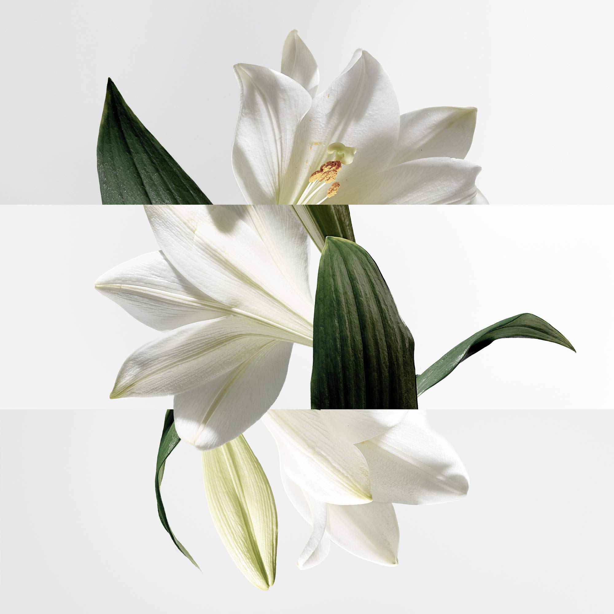 Foto 4 pulgar | Perfume Hermes Un Jardin Sur La Lagune, Eau De Toilette, 30 Ml - Venta Internacional.