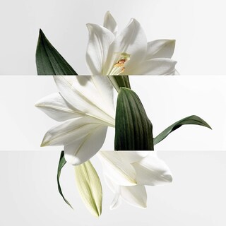 Foto 3 | Perfume Hermes Un Jardin Sur La Lagune, Eau De Toilette, 30 Ml - Venta Internacional.
