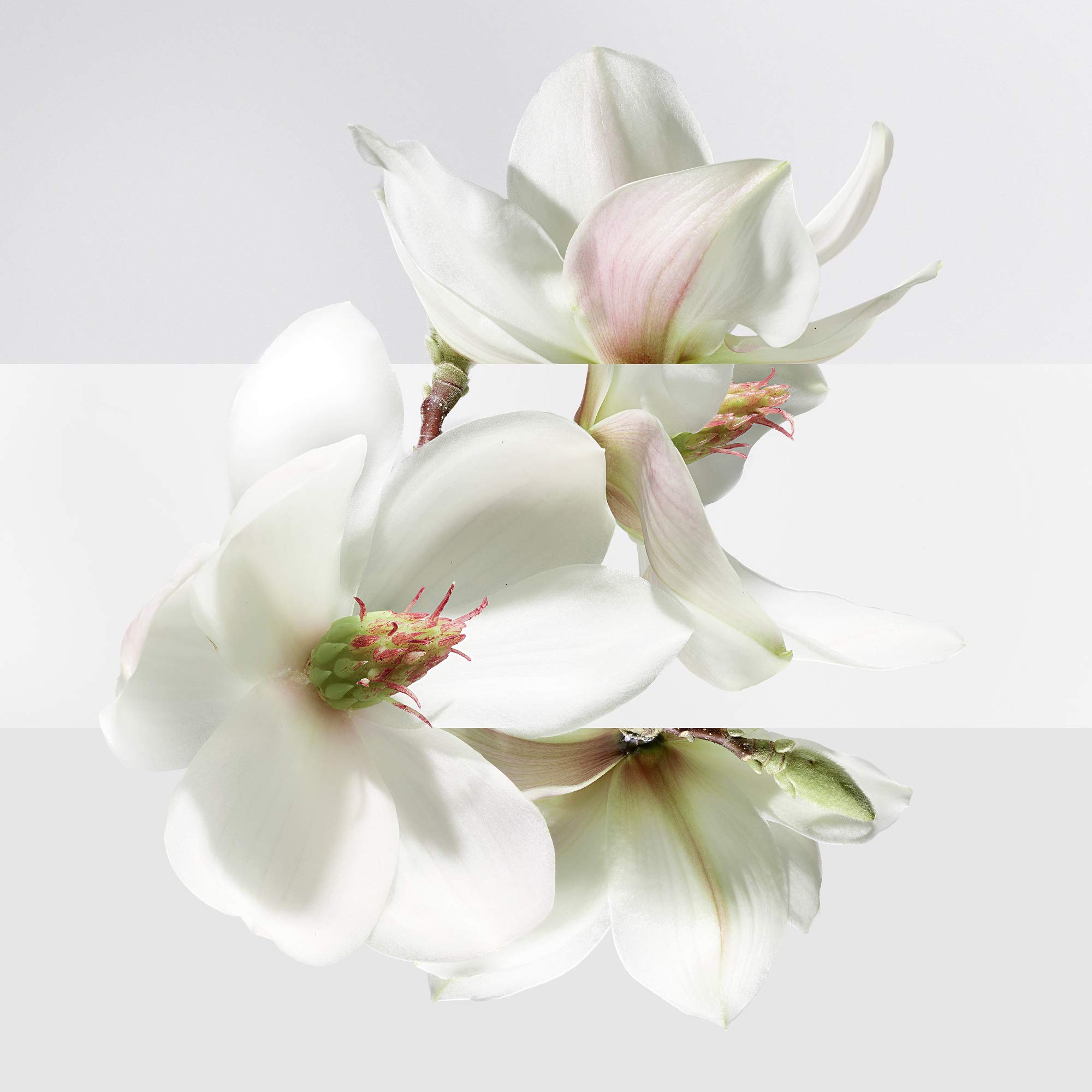 Foto 5 pulgar | Perfume Hermes Un Jardin Sur La Lagune, Eau De Toilette, 30 Ml - Venta Internacional.
