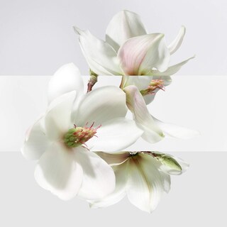 Foto 4 | Perfume Hermes Un Jardin Sur La Lagune, Eau De Toilette, 30 Ml - Venta Internacional.