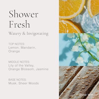 Foto 4 | Perfume Clean Classic Shower Fresh 30 Ml Para Mujer - Venta Internacional.