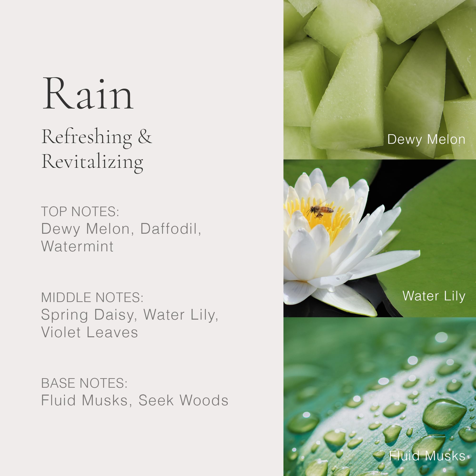 Foto 3 pulgar | Perfume Clean Classic Rain, 60 Ml, No Irritante, Vegano - Venta Internacional.