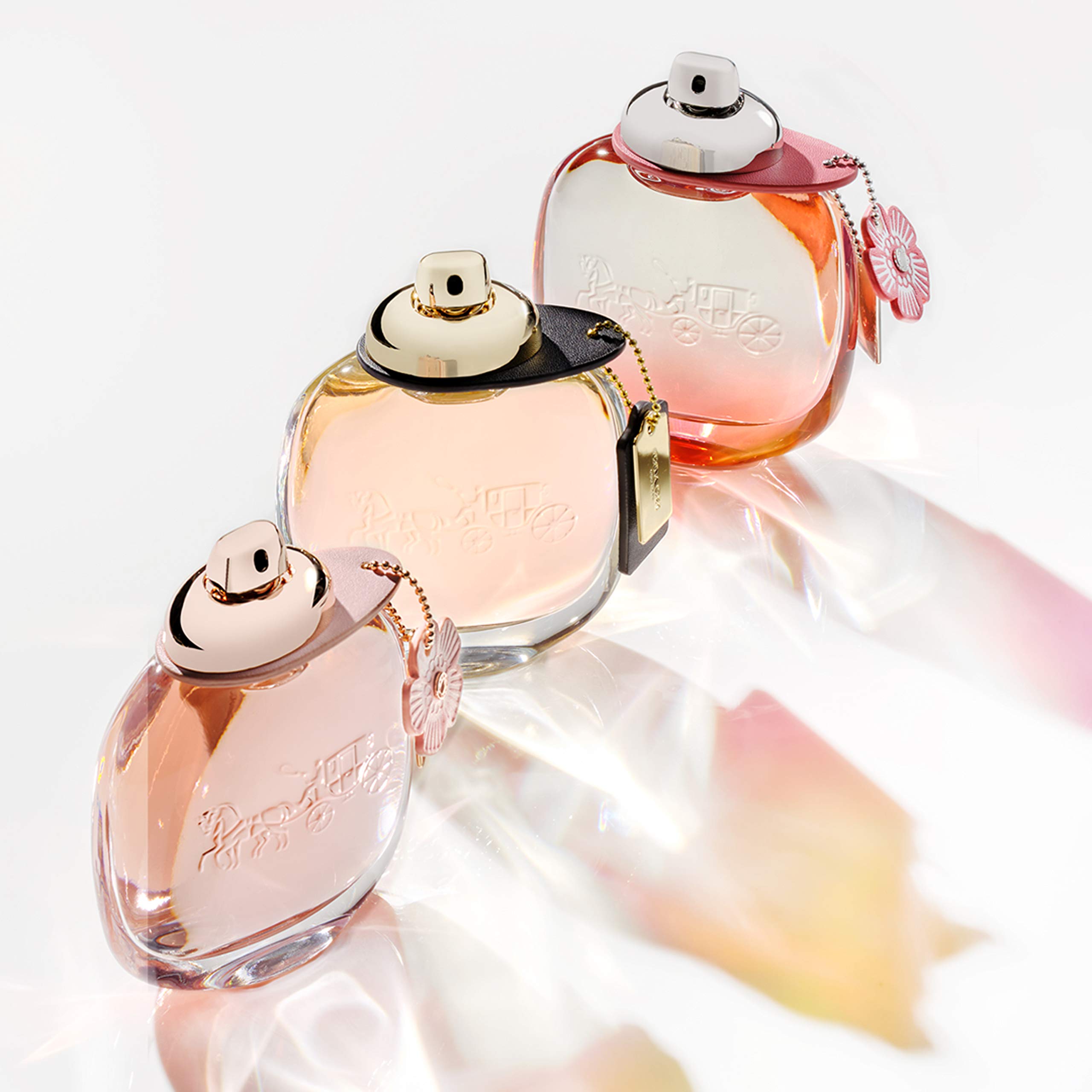 Foto 6 pulgar | Perfume Para Mujer Perfume Coach Floral Blush - Venta Internacional.