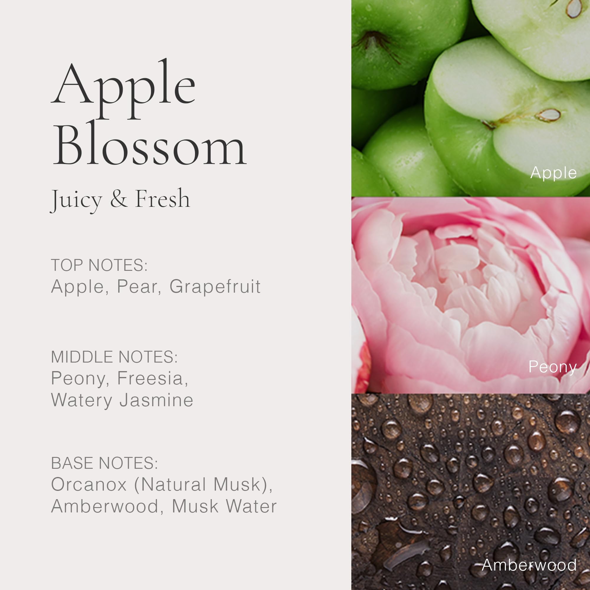 Foto 4 pulgar | Perfume Clean Classic Apple Blossom 60 ml para Mujer - Venta Internacional