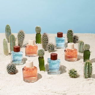 Foto 4 | Perfume Hollister Canyon Escape Edp 100 Ml Para Mujer - Venta Internacional.