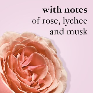 Foto 5 | Perfume Philosophy Amazing Grace Ballet Rose 60 Ml - Venta Internacional.