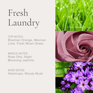 Foto 4 | Perfume Clean Classic Fresh Laundry 60 Ml Para Mujer - Venta Internacional.