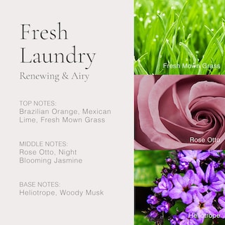 Foto 3 | Perfume Clean Classic Fresh Laundry 30 Ml Para Mujer - Venta Internacional.