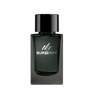 Foto 1 | Perfume Burberry Mr. Burberry Eau de Parfum 150 Ml - Venta Internacional