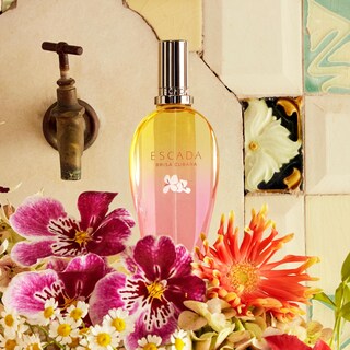 Foto 5 | Perfume Escada Brisa Cubana Edición Limitada Eau De Toilette 50 Ml - Venta Internacional.