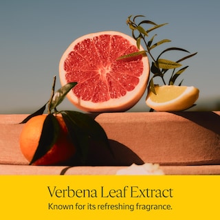 Foto 4 | Perfume L'occitane Citrus Verbena Eau De Toilette 100 ml - Venta Internacional
