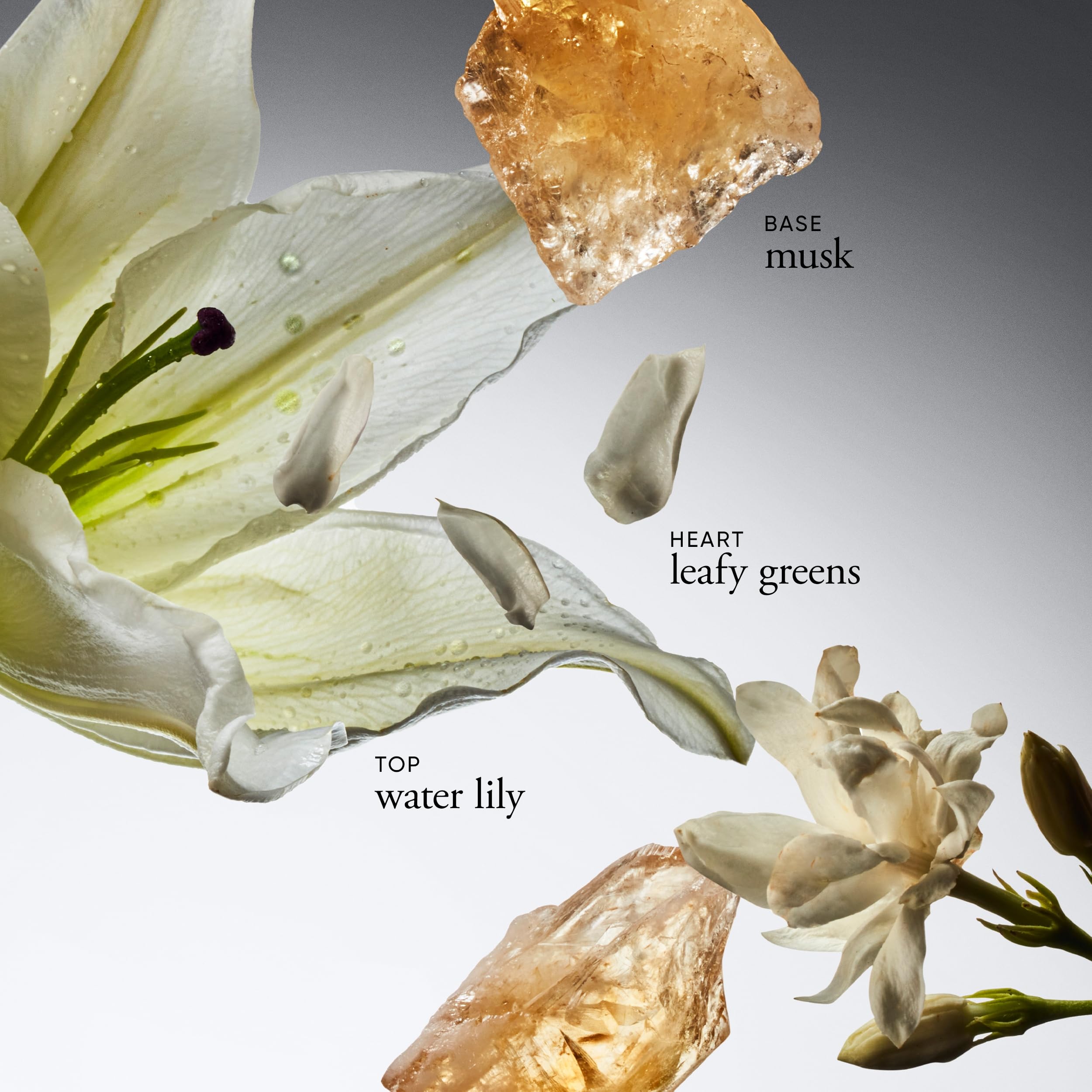 Foto 4 pulgar | Perfume Philosophy Pure Grace Eau de Toilette 60 Ml - Venta Internacional