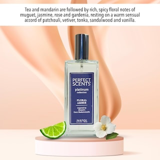 Foto 5 | Perfume Instyle Fragrances Platinum Edp 100 ml para Mujer-Venta Internacional