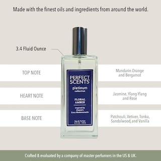 Foto 7 | Perfume Instyle Fragrances Platinum Edp 100 ml para Mujer-Venta Internacional