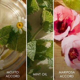 Foto 3 | Perfume Escada Brisa Cubana Eau De Toilette Roller Ball, 10 Ml - Venta Internacional.