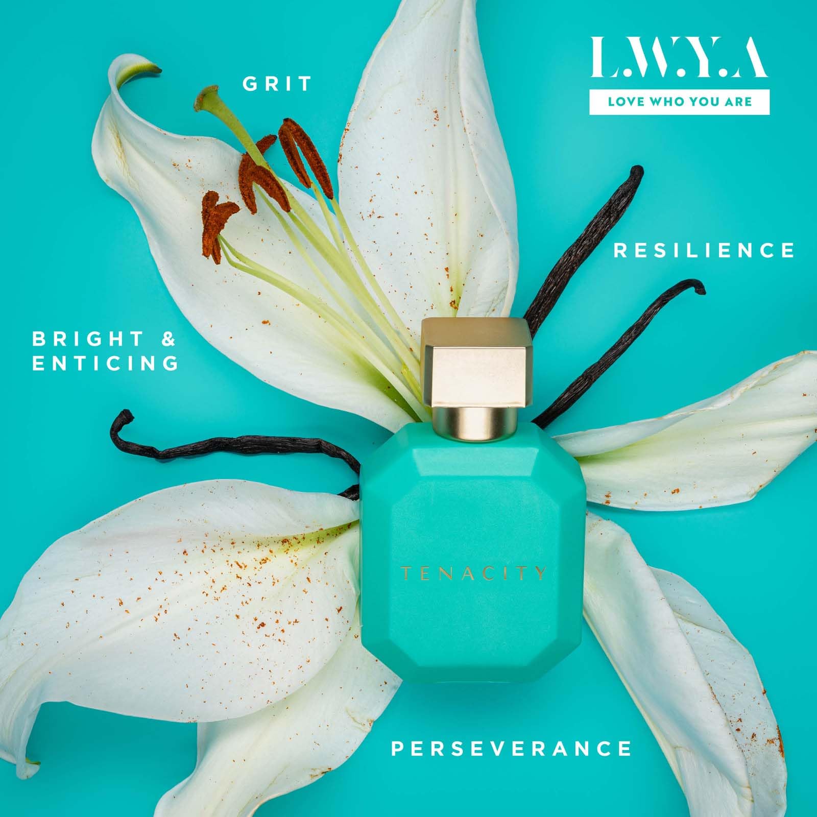Foto 3 | Perfume Lwya Tenacity Eau De Parfum 50 Ml Para Mujer - Venta Internacional.