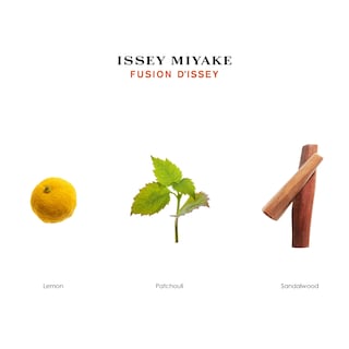 Foto 3 | Perfume Issey Miyake Fusion D'issey Edt 50 Ml Para Hombre - Venta Internacional.